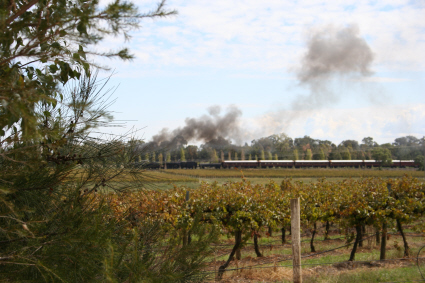 Steam Train