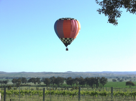 The Vineyard Motel Guests Ballooning.